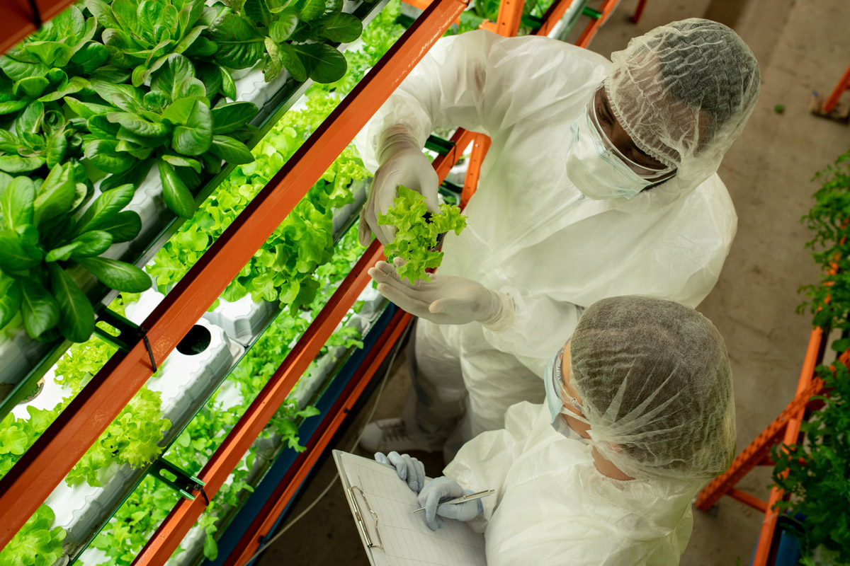 vertical farming