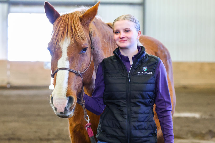 Equine Programs
