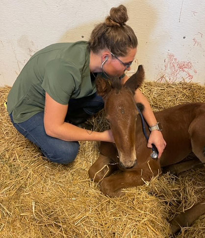 Eline Ferrari, a veterinarian and Equine Reproduction Technician graduate, caring for a newborn foal during hands-on training at Olds College.