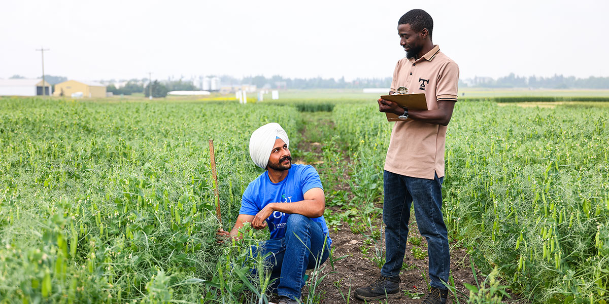 Olds College Receives $1.5 Million for Applied Agriculture Research 