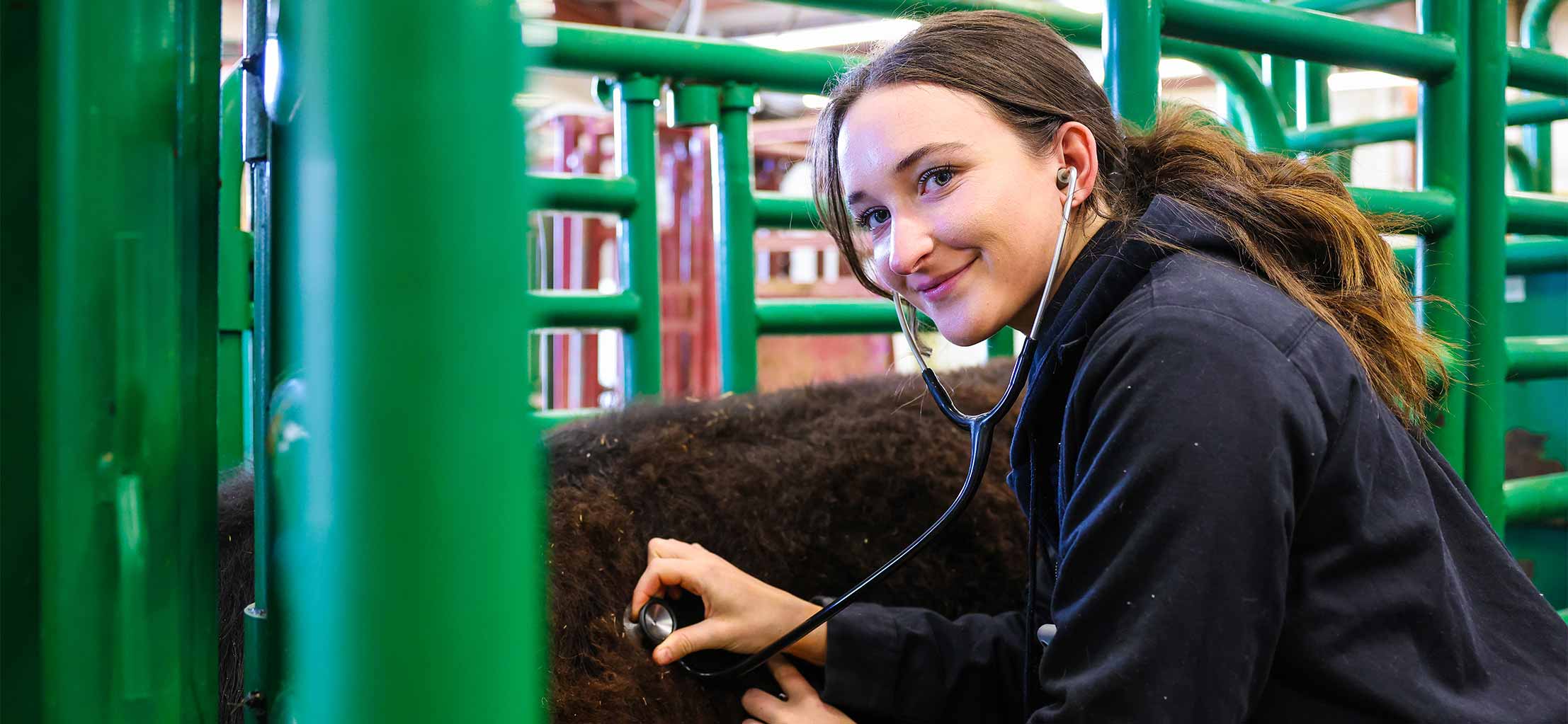 animal-health-technology-diploma-2214x1023.jpg