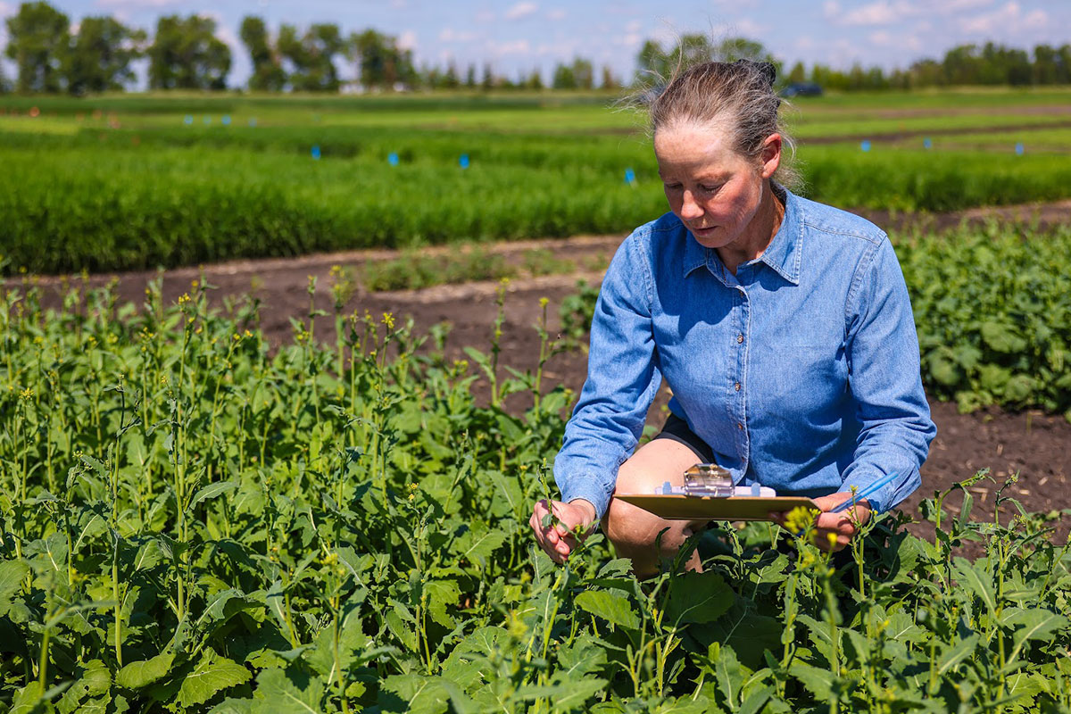 Olds College Receives Federal Research Funding 