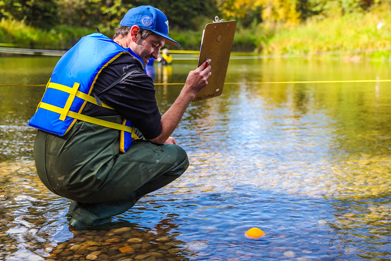 Environmental Science & Technology Diploma