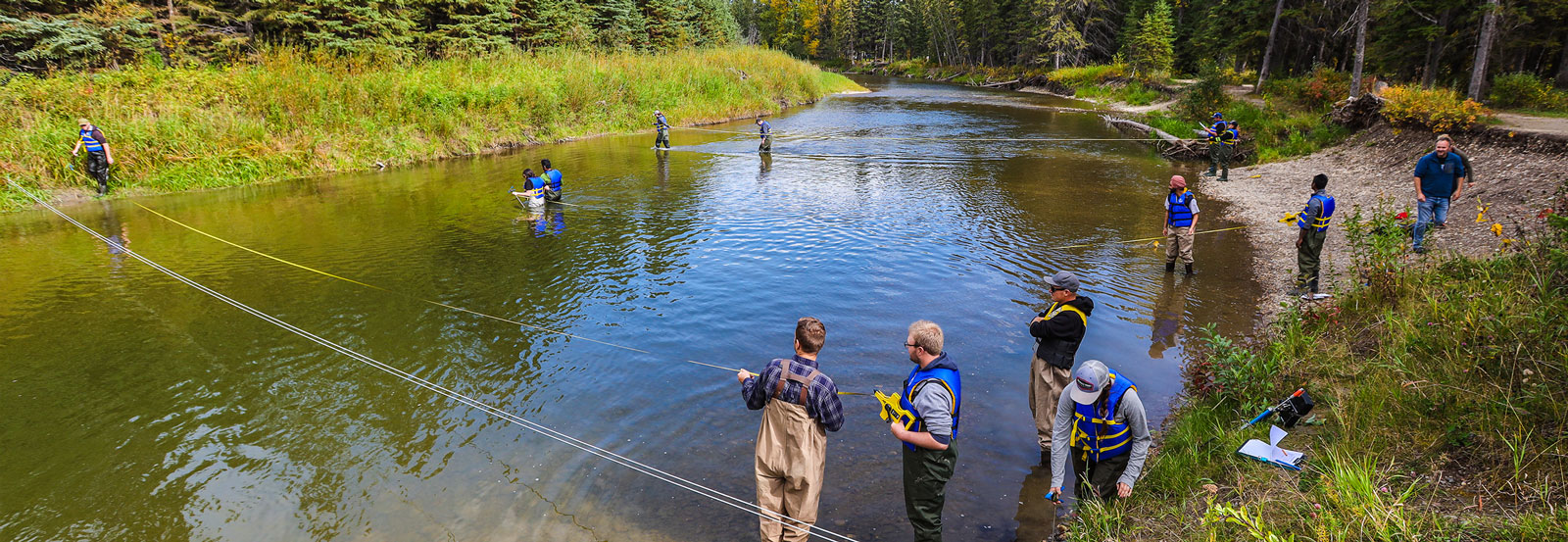 Environmental Science & Technology 